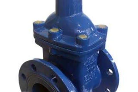 AEON Resilient Seated Gate Valve